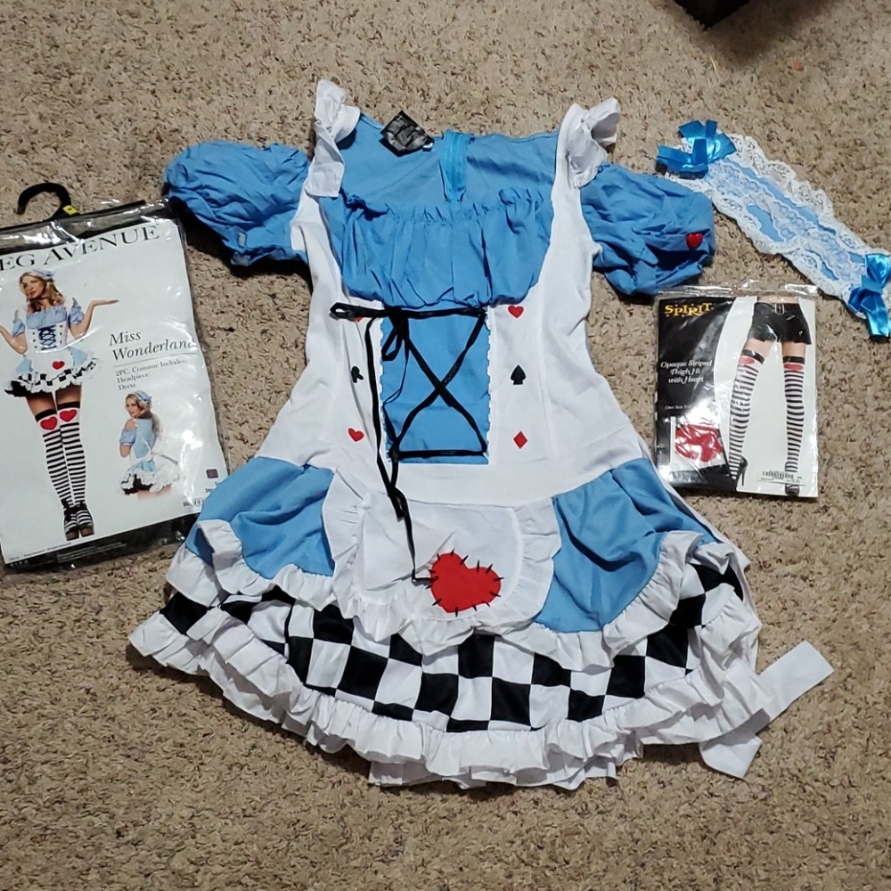 Miss Wonderland Halloween Costume